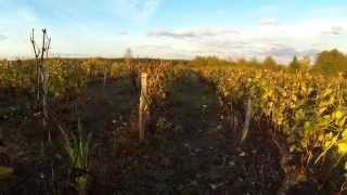 preview picture of video 'Un drone DJI F550 dans les vignes...'