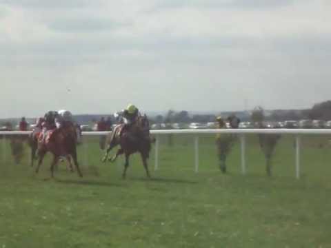 Dostihy Brno 14:35 - 2. dostih Cena paní Hanky Hanáková a pana JUDr.Lubomíra Rokyty