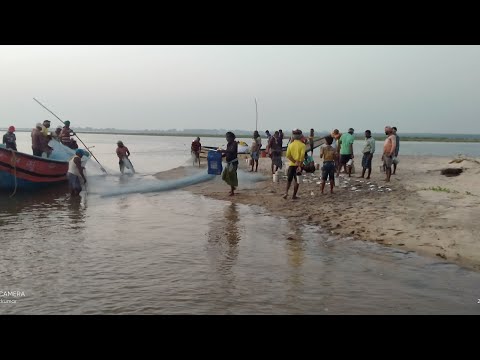 how to amazing fastest giant bluefin tuna fishing skill - most satisfying sea fishing video