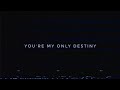 Bring Me The Horizon - You're My Only Destiny