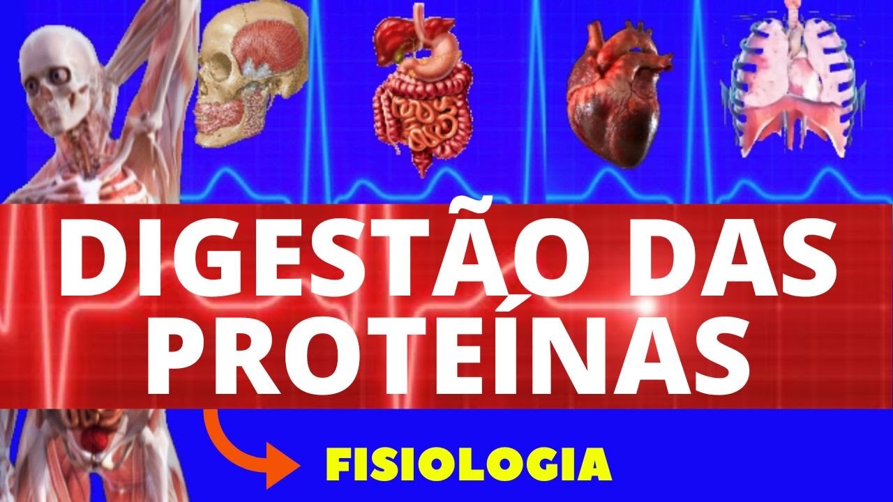 DIGESTÃO DE PROTEÍNAS (FISIOLOGIA DE GUYTON) - SISTEMA DIGESTÓRIO - FISIOLOGIA HUMANA