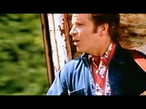 Southern Streamline - John Fogerty