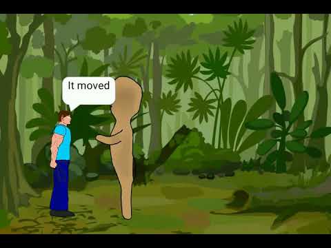 Herobrine vs SCP 173