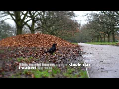 Kazi Ploae x Elianne - ZĂU (English)