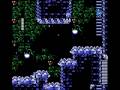 Rockman No Constancy Flashman Run