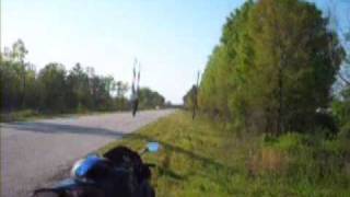 Two Wheelz Only - Life Is Beautiful