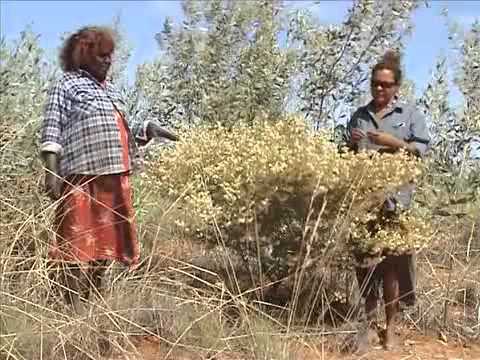 MMR2004 Yakanarra Yakanarra Marnawarnti