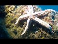 vodice dive diving center on wreck GLADIATOR, Wrack der Gladiator, Kroatien