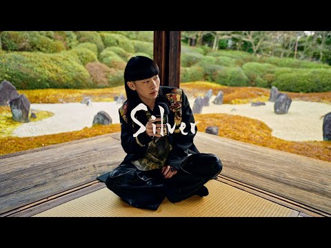 SHOW-GO - Silver (Beatbox)