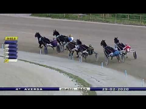 Aversa trotto 29 Febbraio 2020 - 4° Corsa
