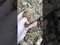 Coastal Clay Test