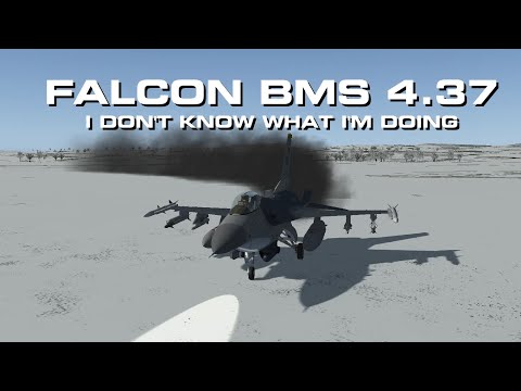 Steam 社区:: Falcon 4.0