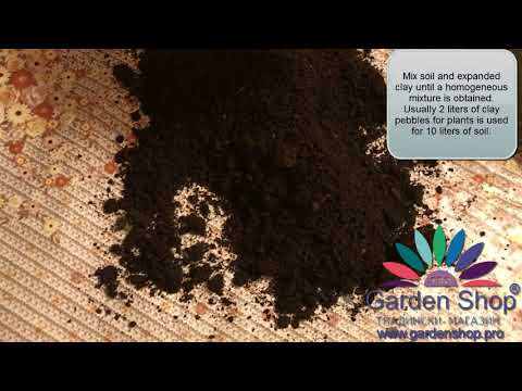 Hur gör man väldränerad jord för nolina växt