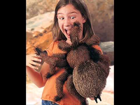 Blackismycolor666’s Video 133172778165 yT4QdB23m0U