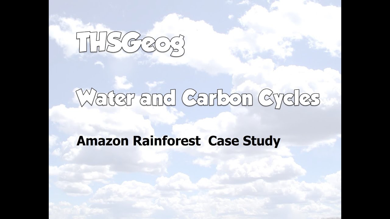 Water and Carbon Cycles - Amazon Case Study