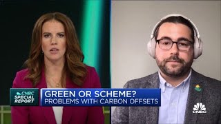 Why this policy expert is skeptical about companies buying carbon offsets