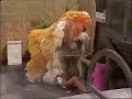 Classic Sesame Street Maria Sunbathes 1979
