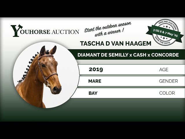 Tascha D van Haagem