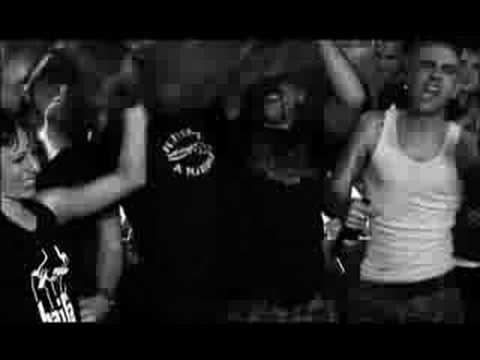 A Sangre Fria: Haifa Storsion