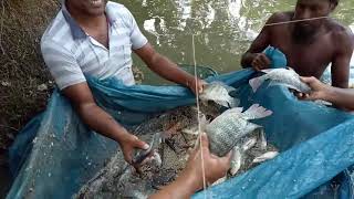 ভিডিও গ্যালারি নমুনায়ন