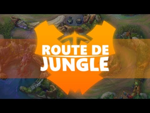 Masterclimb - Routes de Jungle et présentation