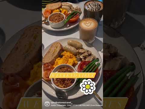 【Weekend VLOG 🥚 沙田 Brunch】Weekend Vibes in Shatin Hong Kong 🇭🇰 牧羊少年咖啡館 The Alchemist Cafe