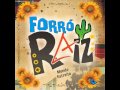 Forro Raiz 2011 - Anjo 