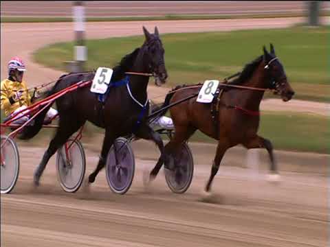 Trotto 01/05/2018 - 3ª corsa - G.P. Lotteria 1ª batteria