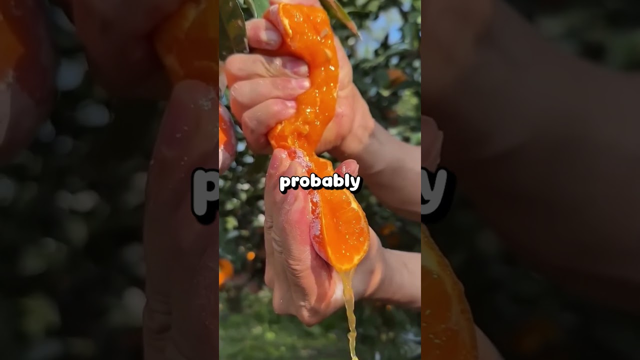 My boyfriend said he'd never loved anyone like his ex. So I left.