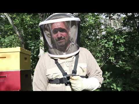 Katastrof! Yngelröta?