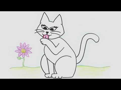 GATO XADREZ - Elvira Drummond