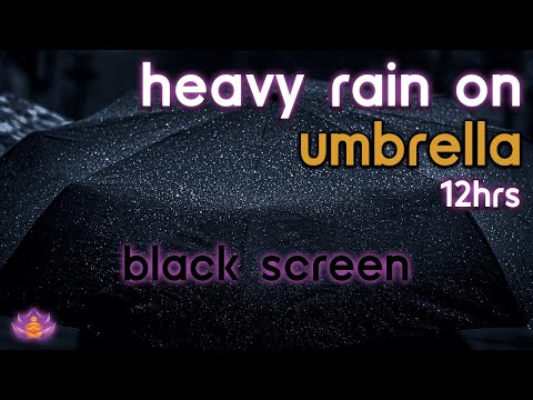 [Black Screen] Heavy Rain on Umbrella No Thunder | Rain Ambience | Rain Sounds for Sleeping