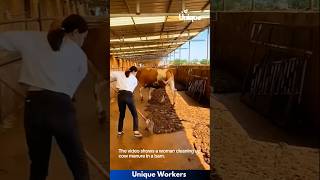 Download lagu Cleaning up cow manure in the barn- The workers do their job perfectly || #machine #shorts mp3