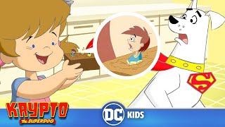 Krypto The Superdog em Português 🇧🇷 | Uma Aventura Microscópica | DC Kids