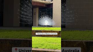 Download lagu Our University Peacock 🦚🇦🇺 #uwa #perth #australia #westernaustralia mp3