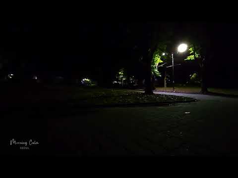 The sound of grasshoppers in a park in South Korea - Relaxing Sounds for Sleeping or Stress Relief