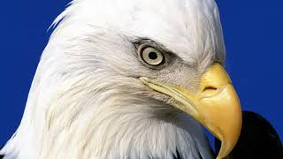 Ukiah  - The Doobie Brothers  - 1973 - - Rockmaster Videos 2018