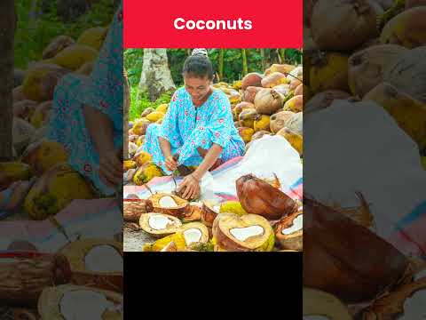 Natural Resources of Comoros