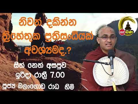 2021/11/21  Balangoda Radha Thero සිත් නෙත් අසපුව ​| 7.00PM BANA ධර්ම දක්ෂිණා