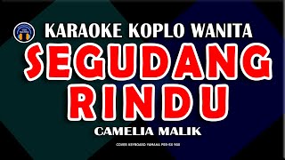 Download lagu KARAOKE SEGUDANG RINDU - Camelia Malik - Versi Dangdut Koplo Nada Wanita mp3