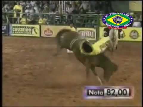 TODAS MONTARIAS DA EGUA MALÍCIA.