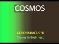 Cosmos OST Carl Sagan - Goro Yamaguchi
