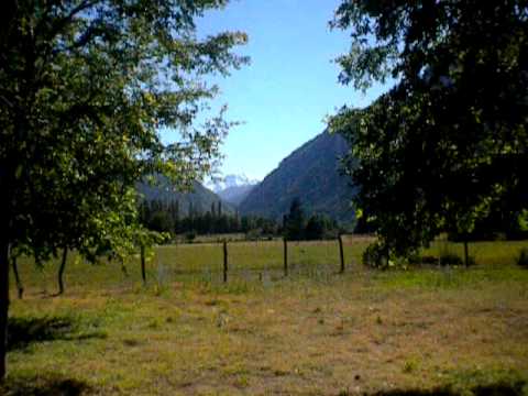 Armerillo domingo de descanso