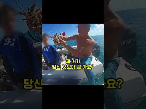 랍스터 잡는 사람 검문