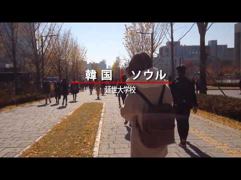 早稲田大学留学リポート2017 #4韓国・延世大学校