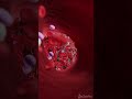 Forming Of A Blood Clot Science Medical