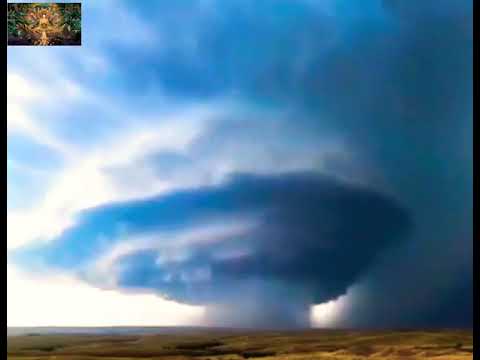 Luật thiên điều (khi trái đất hủy diệt)