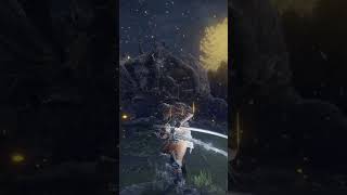 【ELDEN RING】侍 vs 竜【エルデンリング】#shorts