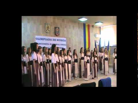 Crizanteme by Vasile Spatarelu.mpg