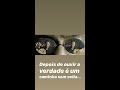 Homem Mulher Fernando Conrado